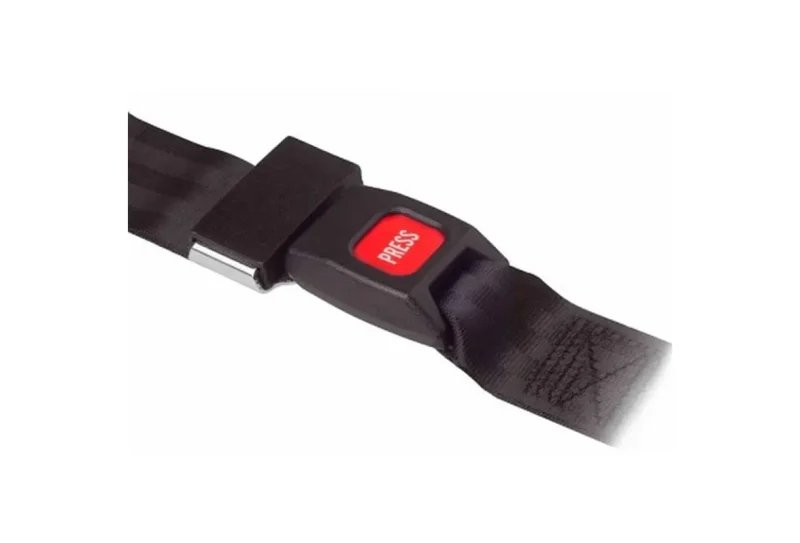 Varnostni pas / pas za telo